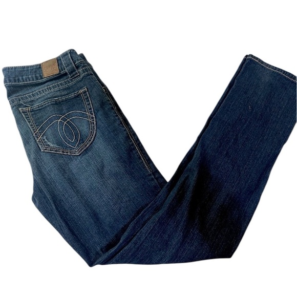 Distressed Paris Blues Stretch Low Rise Blue Jeans Slight Bootcut Sz 11 - Picture 2 of 6